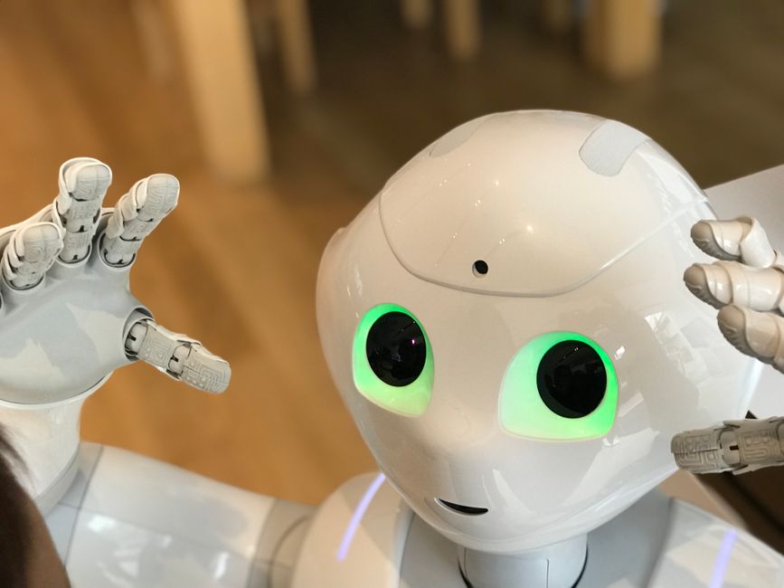 2026 AI Trends: Meta, Google & Venice AI's Big Moves — Photo by Laura Musikanski on Pexels